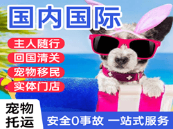 阜阳航空托运国际宠物托运 【国